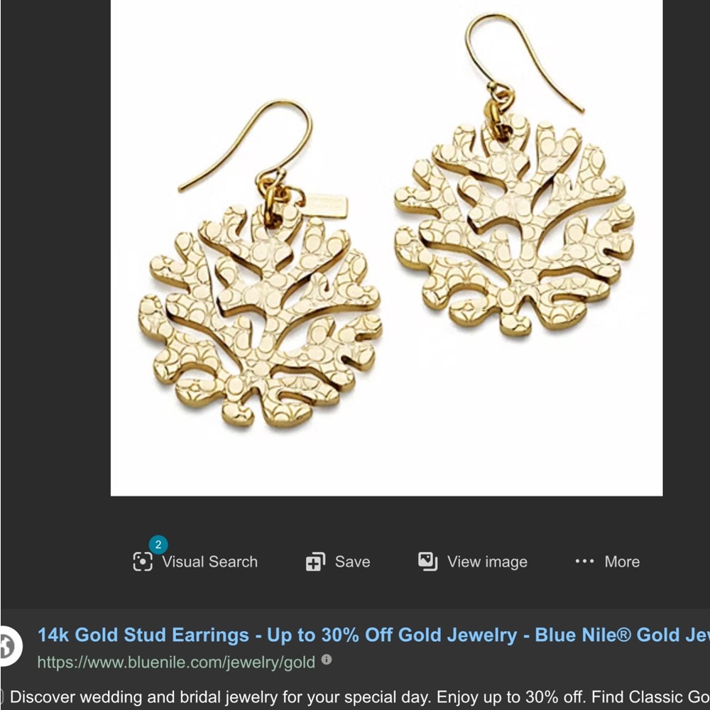 Searching for this Kate Spade necklace and COACH earrings